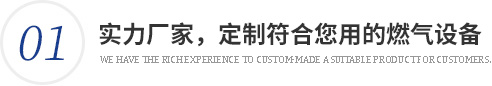 實(shí)力廠(chǎng)家，量身定制符合您使用的燃?xì)庠O(shè)備
